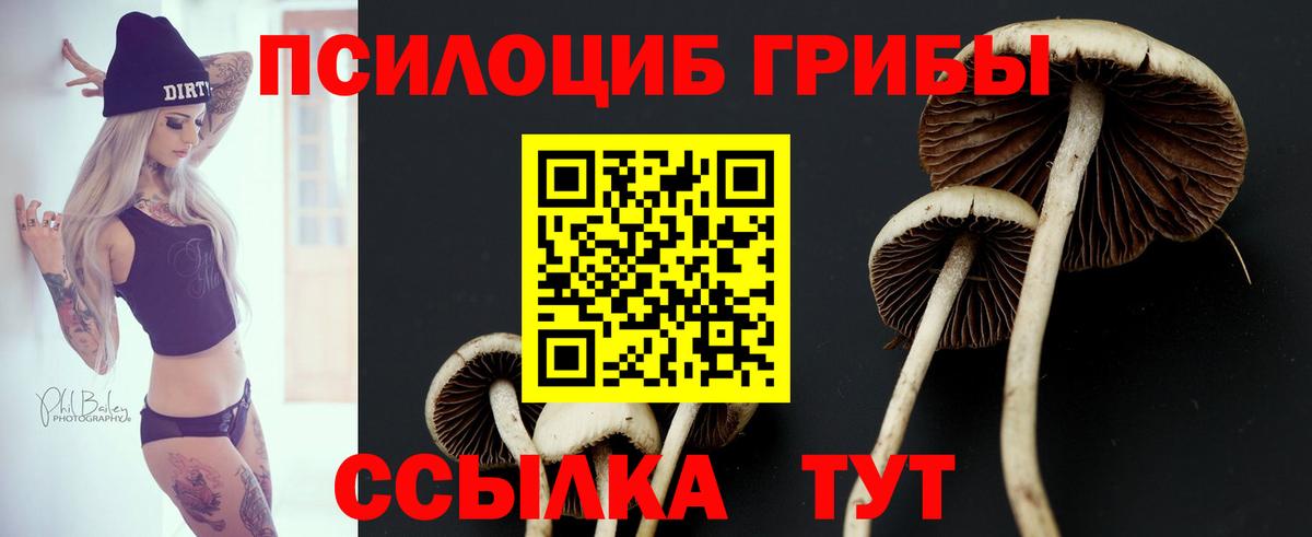 Нягань  Псилоцибиновые грибы мухоморы  Вход с VPN 